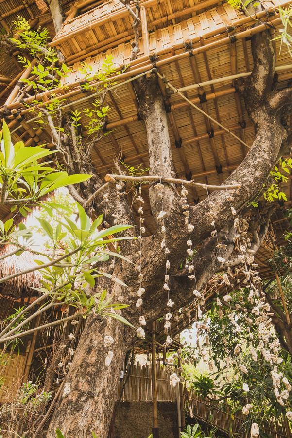 Eco Tree House Amed Hotell Bali Eksteriør bilde