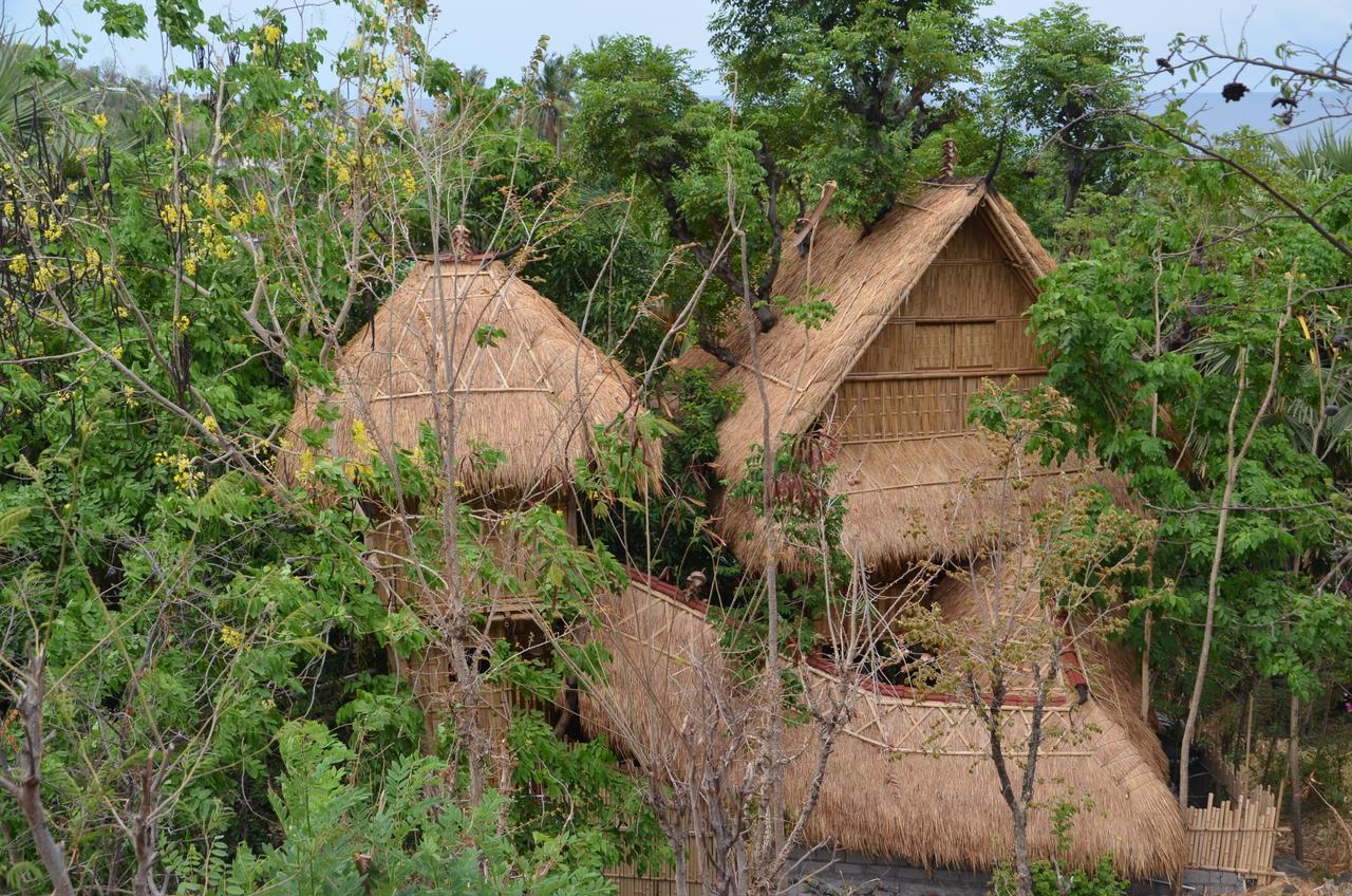 Eco Tree House Amed Hotell Bali Eksteriør bilde