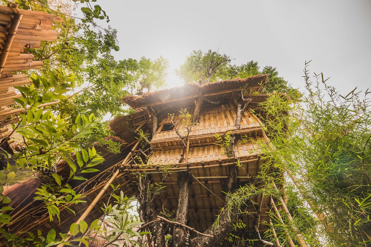 Eco Tree House Amed Hotell Bali Eksteriør bilde