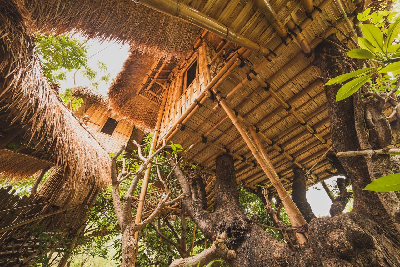 Eco Tree House Amed Hotell Bali Eksteriør bilde