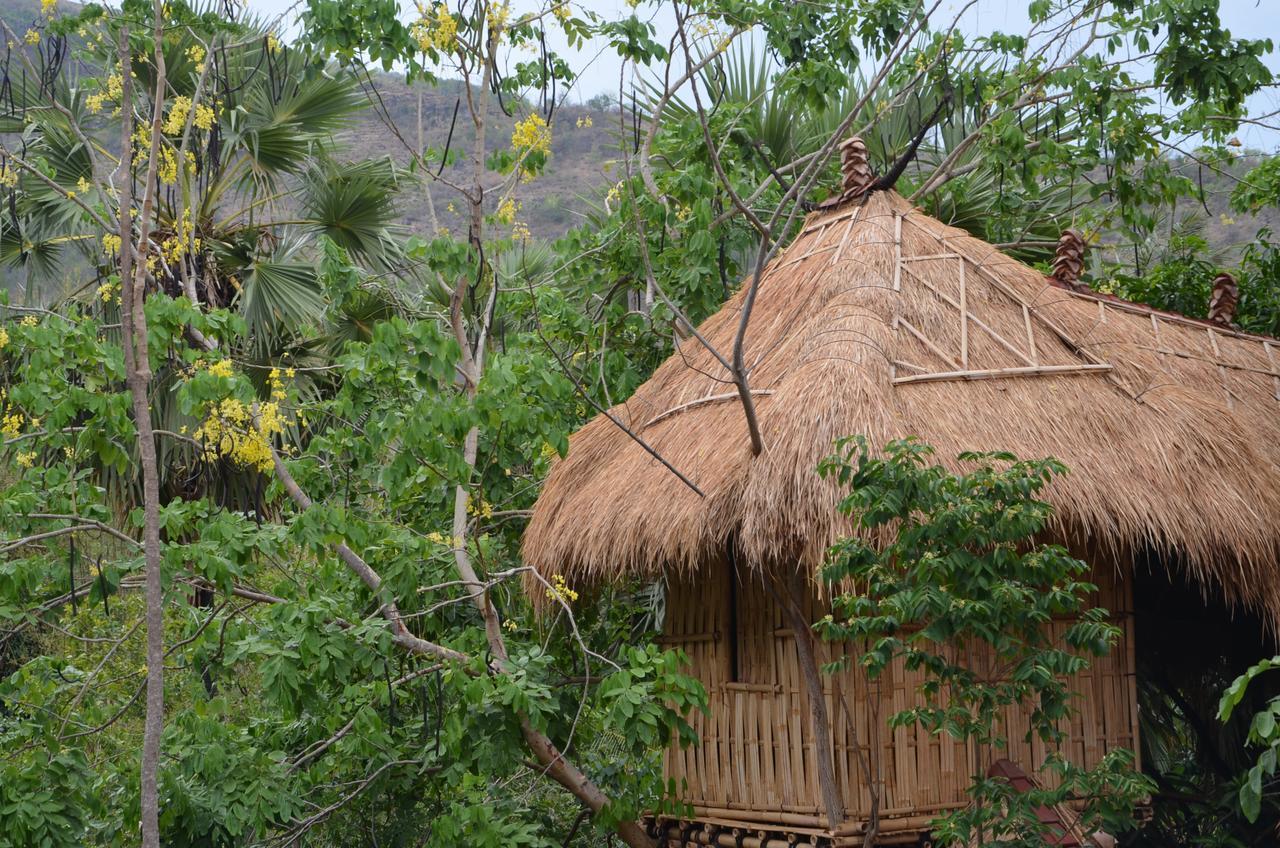 Eco Tree House Amed Hotell Bali Eksteriør bilde